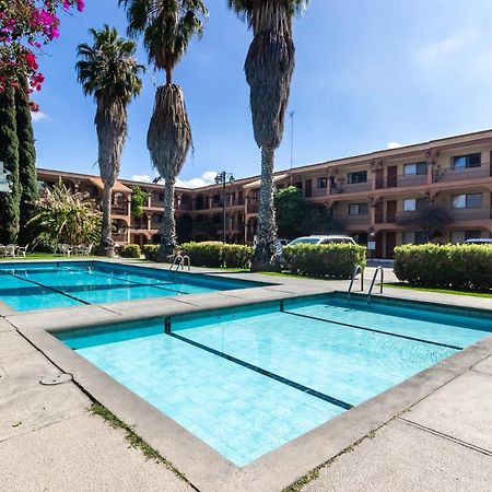 Capital O Mansion Los Arcos, Σαν Λουίς Ποτοσί Εξωτερικό φωτογραφία